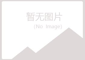 乐安县紫山化学有限公司